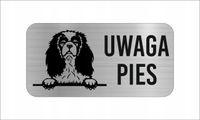 GRAWER Tabliczka nierdzewna 20x10 cm UWAGA PIES Cavalier Spaniel