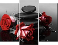 product-compare-58672632