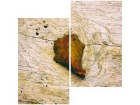 60X60CM JESIENNY LIŚĆ JENNY DOWNING DWU OBRAZ ŚCIAN