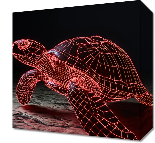 Obraz 30x30cm Neonowy Żółw zdjęcie 1