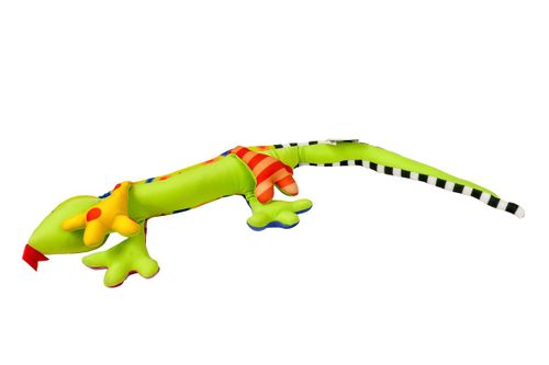 Salamandra zielona na Arena.pl