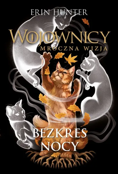Bezkres nocy zdjęcie 1
