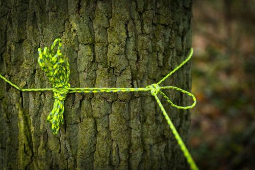 Linka Tactical 275 Cord (100ft) - Czarna na Arena.pl