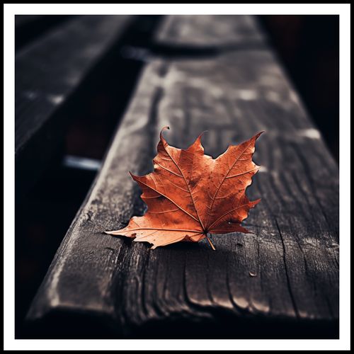 Plakat 90x90cm Pojedynczy Liść na Arena.pl