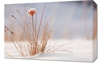 Obraz 60x40cm Zima w Detalach