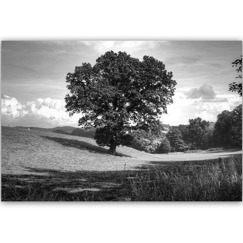 Deco Panel, Drzewo na polanie 2 60x40 na Arena.pl