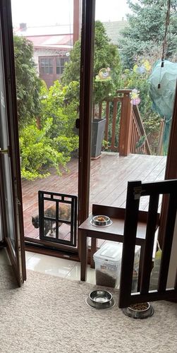 DRZWICZKI moskitiery dla kota i psa na Arena.pl