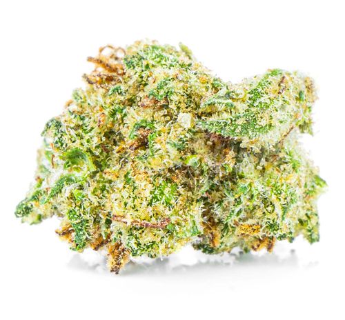 Susz konopny CBD | Amnesia Haze | HOLENDER | 1g na Arena.pl