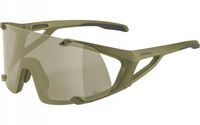 Okulary Alpina Hawkeye