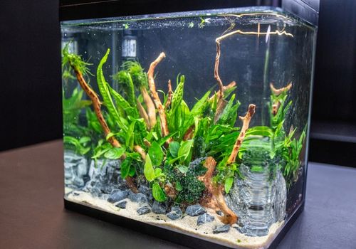 INVITAL EasyTank PRO LED 30L czarny na Arena.pl