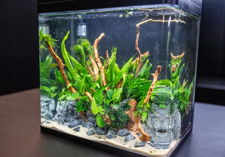 INVITAL EasyTank PRO LED 30L czarny zdjęcie 6