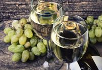 FOTOTAPETA kuchenna BIAŁE WINO WINOGRONO 200x130