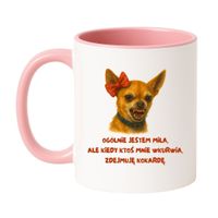 Klasyczny Biało-Różowy 330 ml