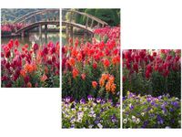 60 90CM OBRAZ 3 ELEM MOSTEK WŚRÓD KWIATÓW ŚCIENNY DRUK PŁÓTNO