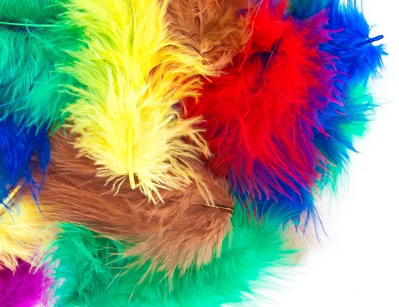 PIÓRKA  5-12 CM, 5 G BASIC DP CRAFT zdjęcie 1