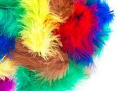 PIÓRKA  5-12 CM, 5 G BASIC DP CRAFT