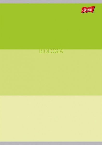 Zestaw Zeszyty Przedmiotowe A5 60k (ściąga) Color Stripes zdjęcie 4