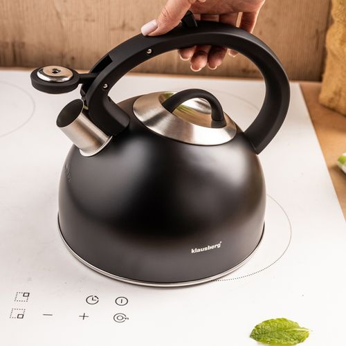 czajnik stalowy z gwizdkiem 2,5l klausberg kb-7911 na Arena.pl