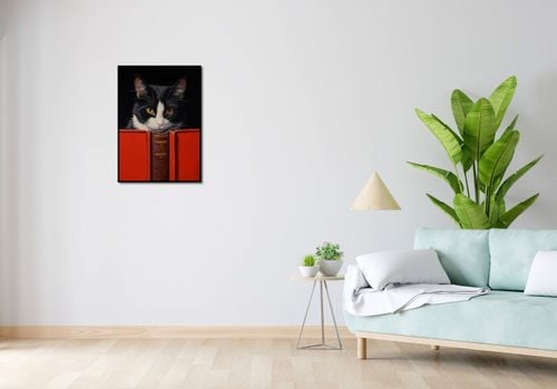 Plakat 50x70cm Koci Uczeń na Arena.pl