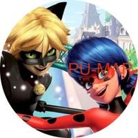 Opłatek na tort Urodziny Biedronka Czarny Kot Postać Tekst Gratis