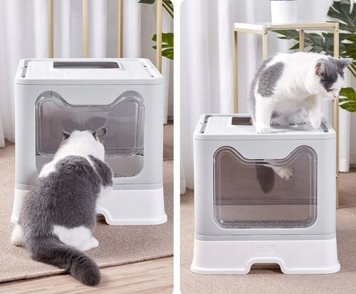 Duża Kuweta dla KOTA Zamknięta Kryta Zamykana z Szufladą z Łopatką XXL na Arena.pl