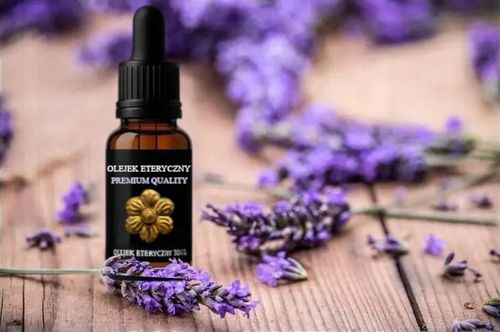 CICHY OSUSZACZ POWIETRZA POCHŁANIACZ WILGOCI 12L/24H + WiFi + TIMER na Arena.pl