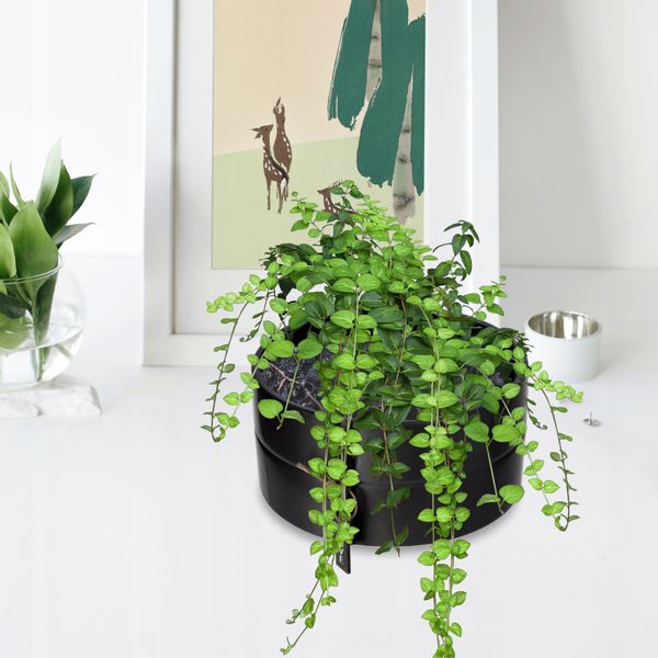 DONICZKA OSŁONKA DONICA CERAMICZNA KOLORY 18CM zdjęcie 7