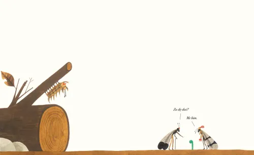 Zu dę daś? na Arena.pl