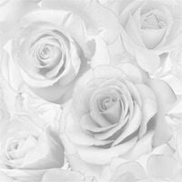 TAPETA DUŻE PRZESTRZENNE RÓŻE ODCIENIE SZAROŚCI PAPIEROWA