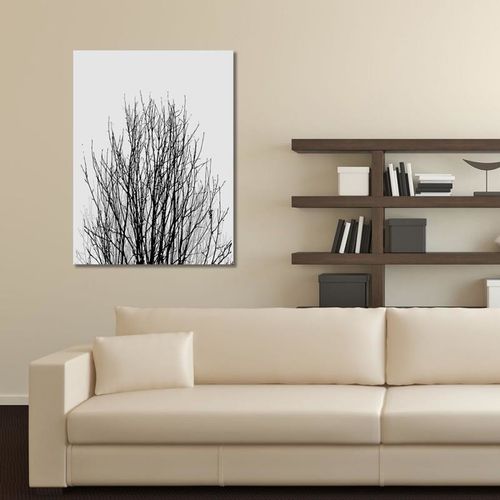 Obraz na płótnie - Canvas, Korona drzewa 40x50 na Arena.pl