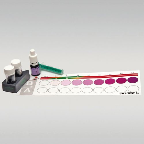 JBL Test Fe na Arena.pl