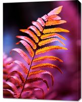 product-compare-59471582