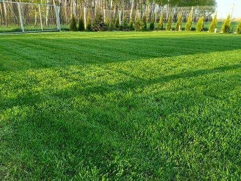 Nawóz do trawy do trawników na lato MAGGROW 20 kg na Arena.pl