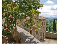 40X50CM RÓŻE BALKONIE OBRAZ