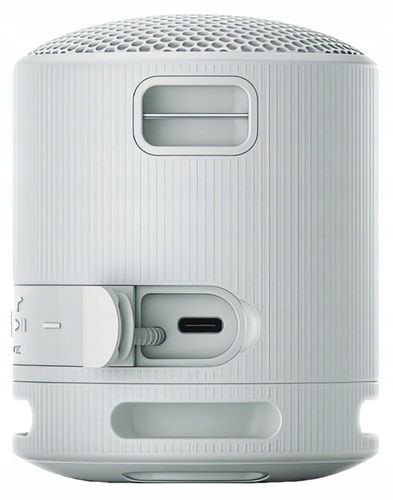 Głośnik przenośny bluetooth Sony SRS-XB100H Szary na Arena.pl