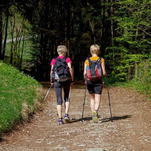 Kijki NORDIC WALKING trekkingowe 2szt ZESTAW REGULOWANE POKROWIEC KOŃCÓWKI na Arena.pl