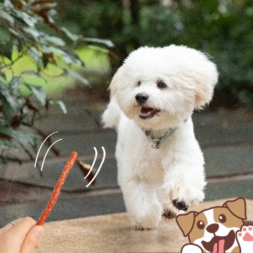 Smaczki przysmak dla psa kabanosy z kaczka i ryżem 500g PAWFECT BITES na Arena.pl