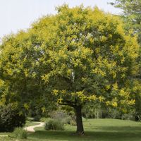 product-compare-60163446