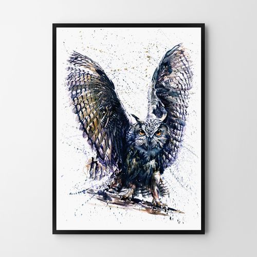 Plakat sowa abstrakcja akwarela 61x91 cm na Arena.pl