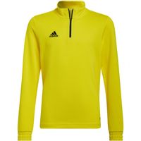 Bluza adidas Entrada 22 Training Top Jr HI2133 116cm