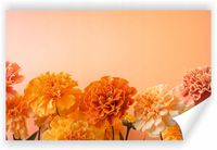 Fototapeta PREMIUM STRUKTURA ZMYWALANA NA WYMIAR pomarańczowe kwiaty