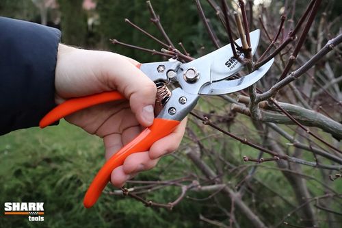 SEKATOR DO GAŁĘZI RĘCZNY NOŻYCOWY Shark G1 ogrodowy do cięcia 22 cm na Arena.pl