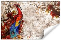 Fototapeta Ścienna Barwny PAW Abstrakcja Mur Mozaika 450cm x 300cm