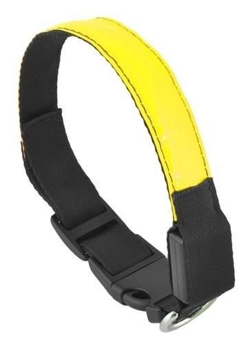 Obroża LED żółta - M na Arena.pl