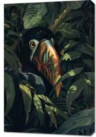 Obraz 60x90cm Skryty Tukan