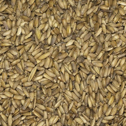 Ostropest plamisty 1kg na Arena.pl