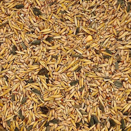 14kg Uniwersalna karma dla ptaków ziarno pokarm zimowy karmnik Champi na Arena.pl