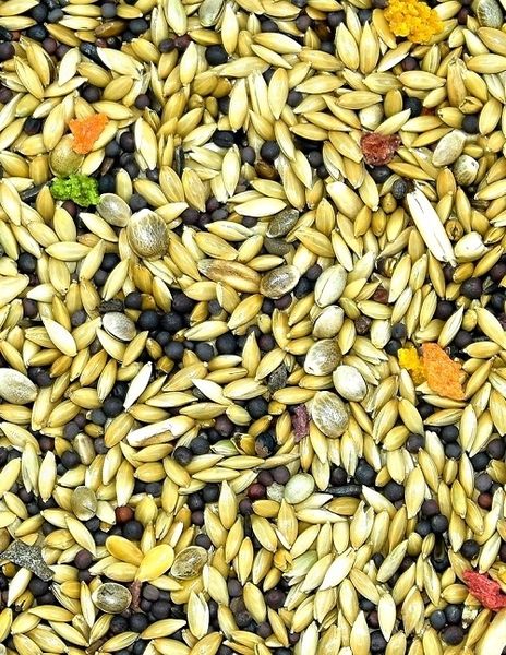 karma dla kanarka Standard MDM KS 1 x 10kg fa zdjęcie 2