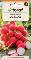 Rzodkiewka CARMEN (czerwona, wczesna) nasiona 10 g.