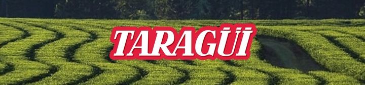 Yerba Mate TARAGUI sin palo despalada 1kg GIGA pobudzenie zdjęcie 8